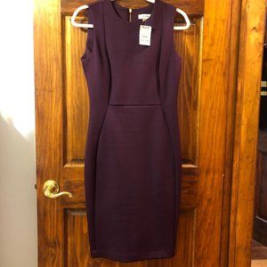 Calvin Klein Plum Dress (tags on)